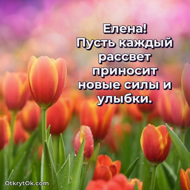 Пожелания маме Елене