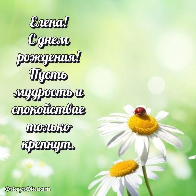 Елена, поздравление на 68 лет