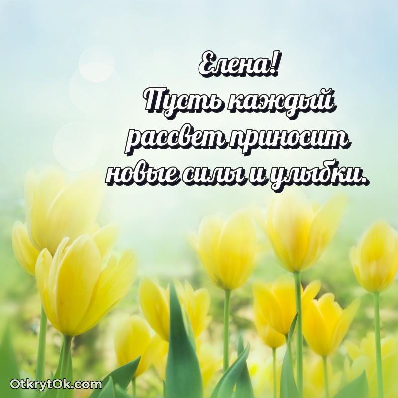 Яркая гифка Елене с днем рождения
