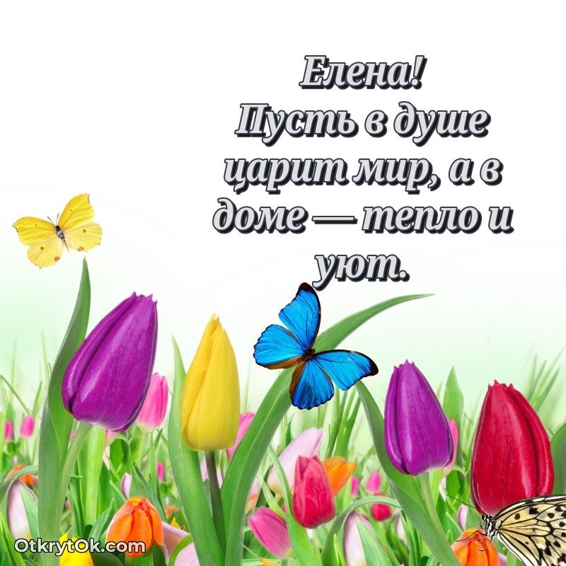 Открытка с надписью и рисунком