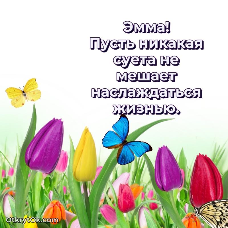 Картинка дочери Эмме