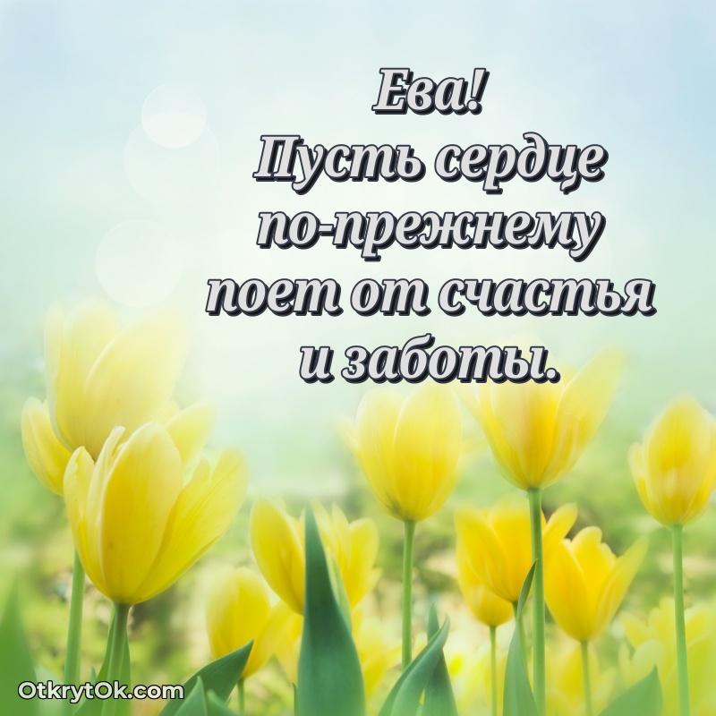 Иллюстрация для поздравления