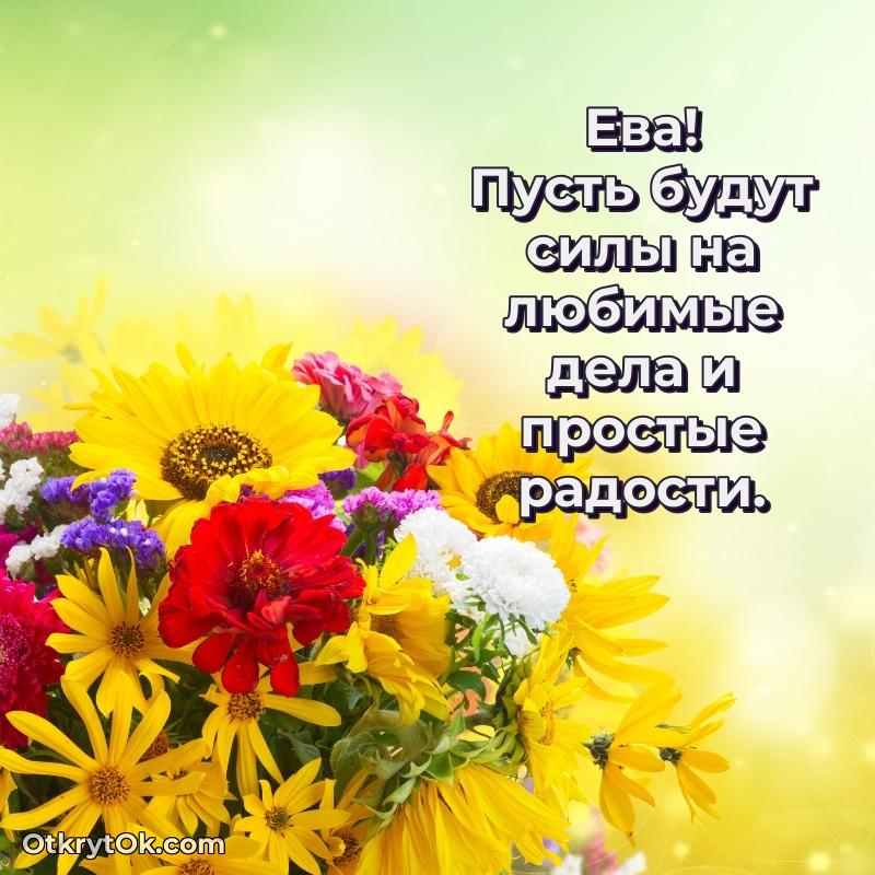 Поздравление Еве праздничные своими словами в прозе