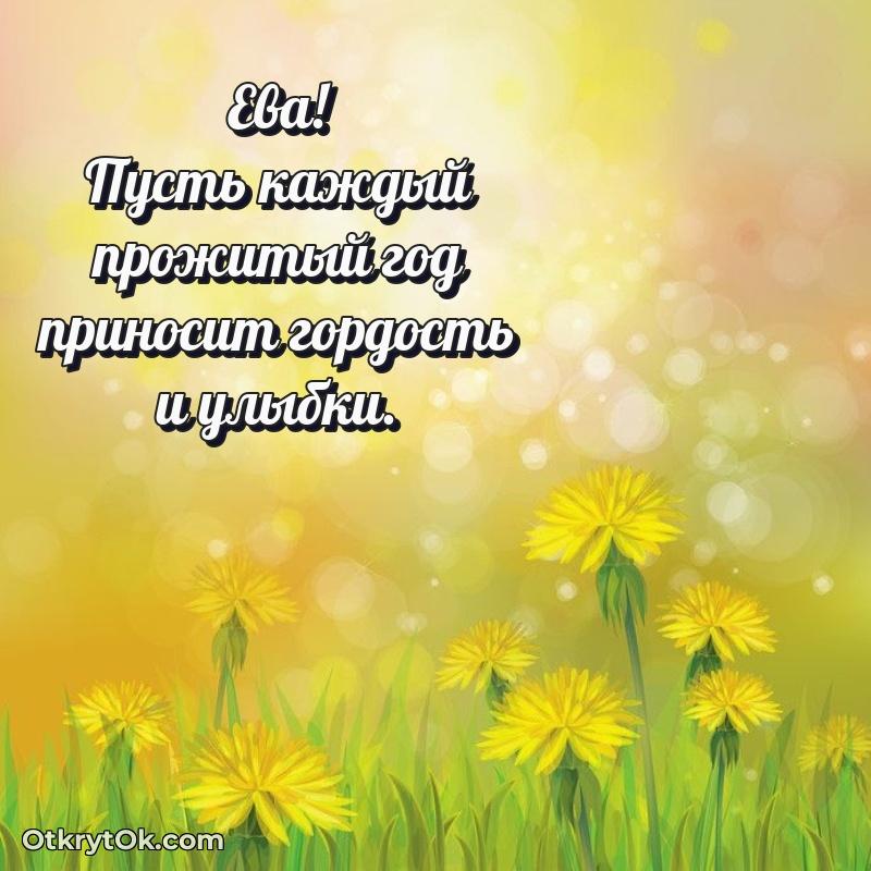 Яркая гифка Еве с днем рождения пожелание на 65 лет