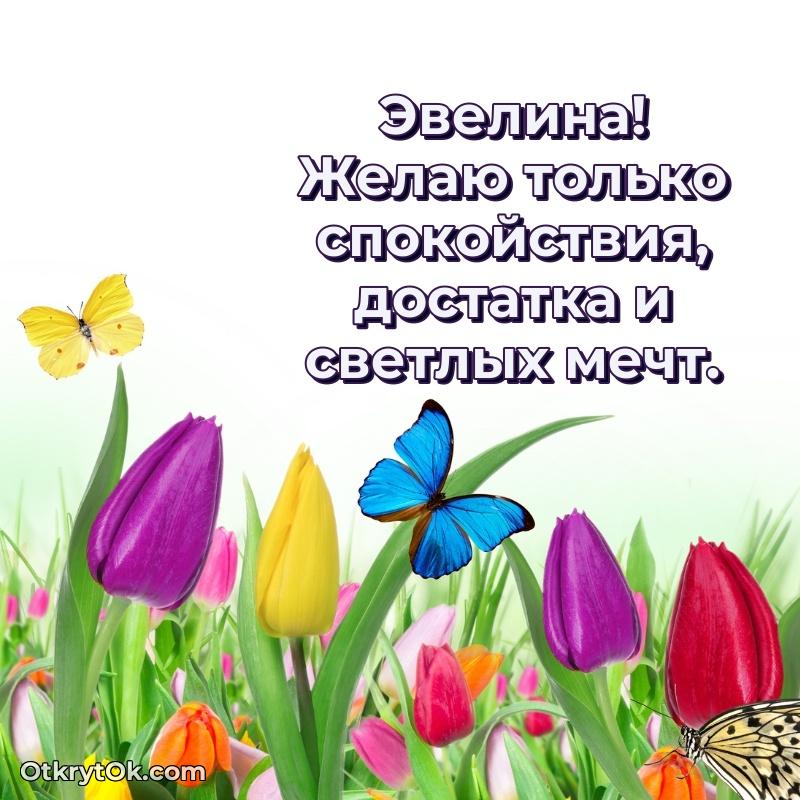 Пожелания и открытки Эвелина