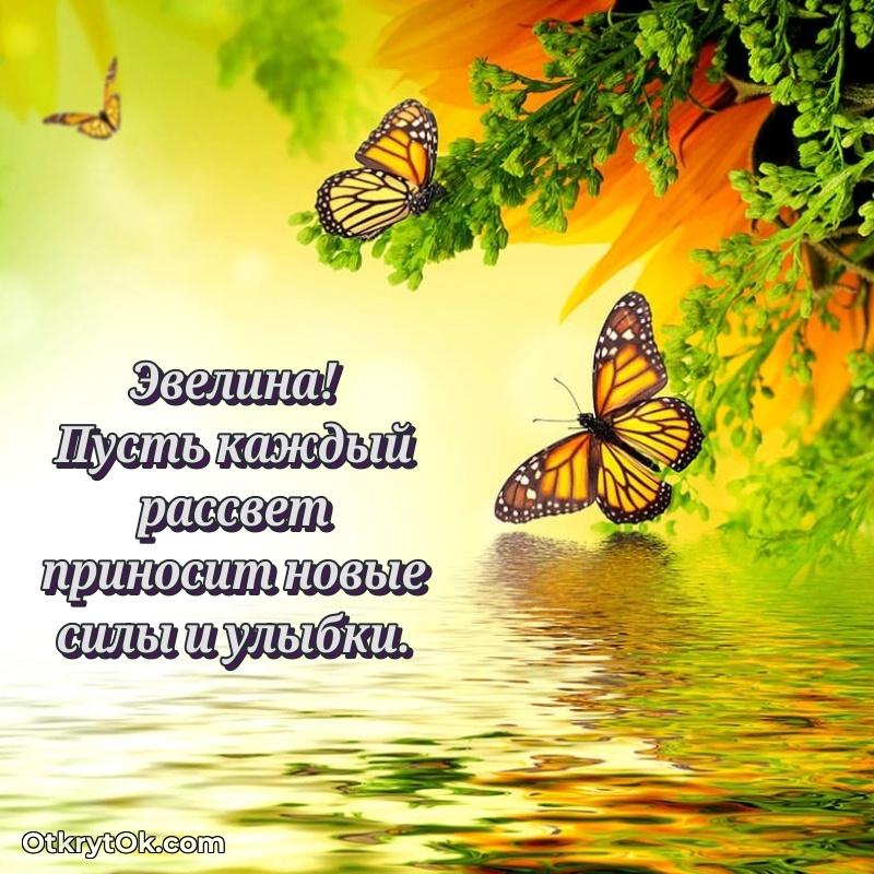 Открытка с пожеланиями Эвелине для ватсапа