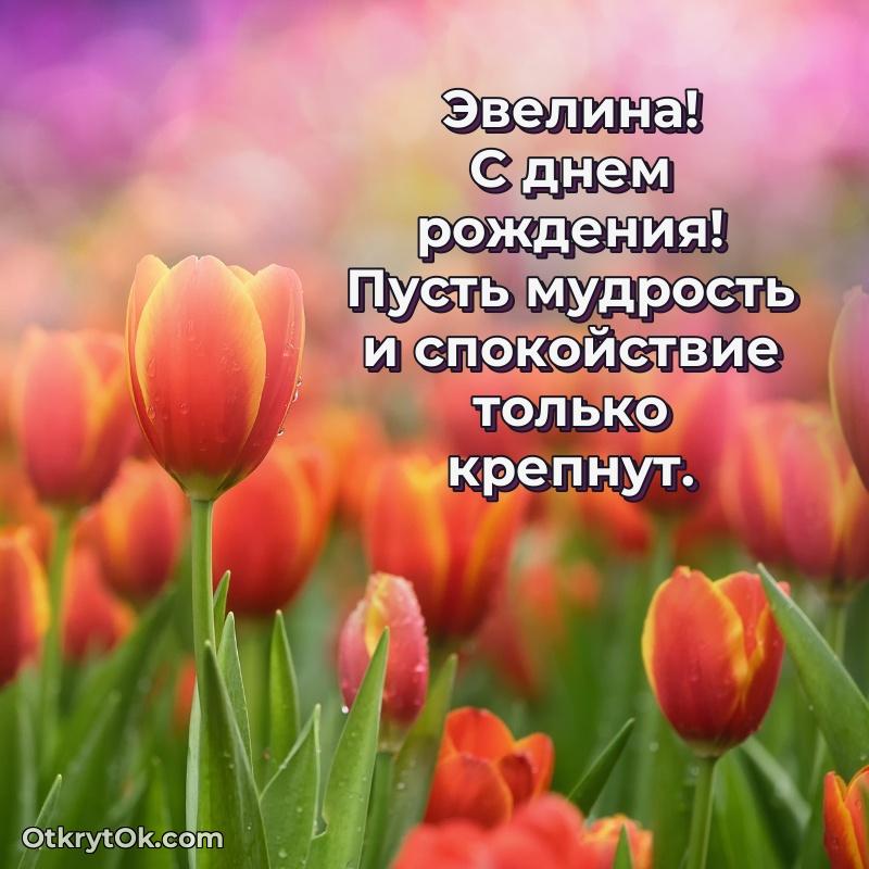 Поздравительная открытка — скачать и отправить