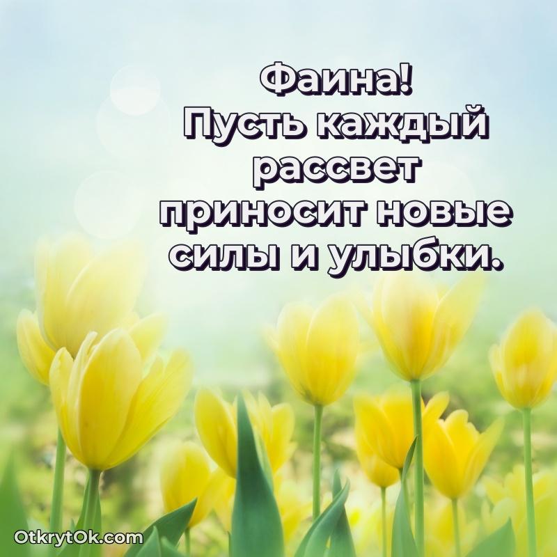 Короткое пожелание Фаине