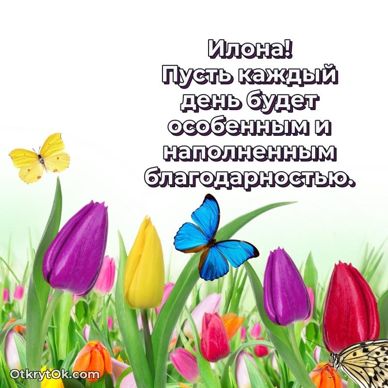 Пожелания и открытки Илона