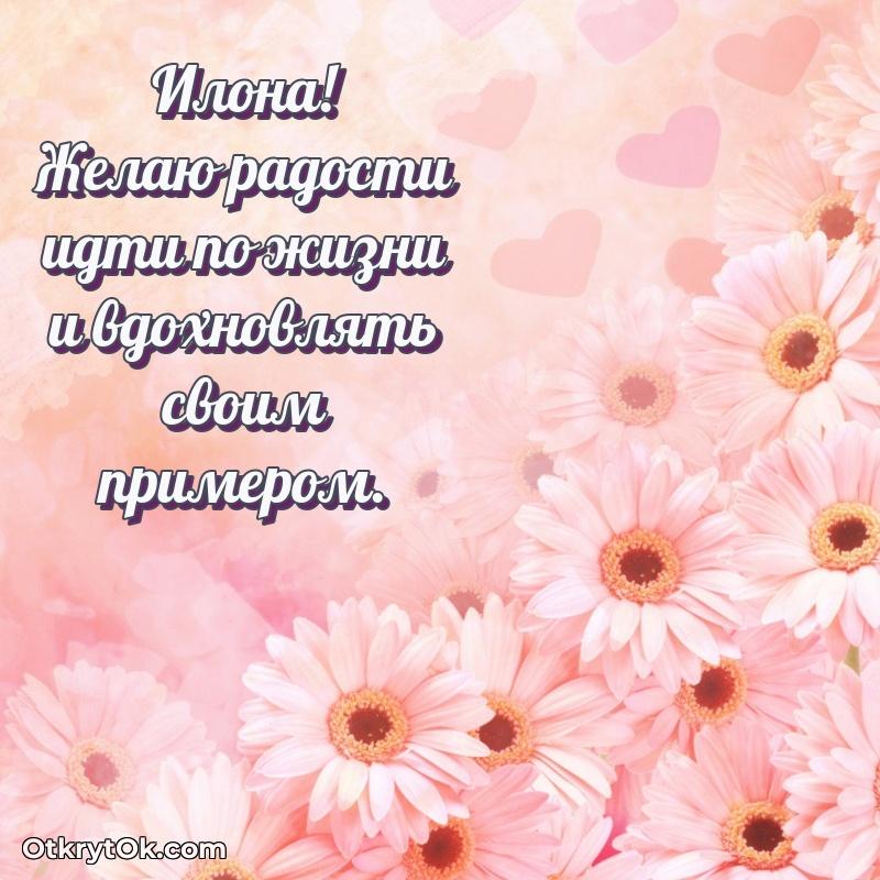 Короткое пожелание Илоне