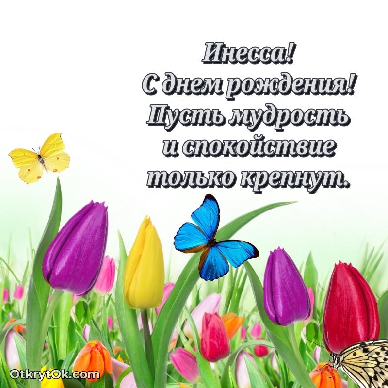 Открытка с пожеланиями и рисунком