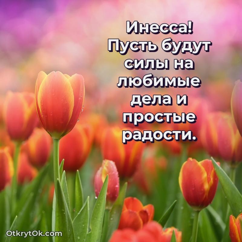 Поздравительная открытка — скачать и отправить