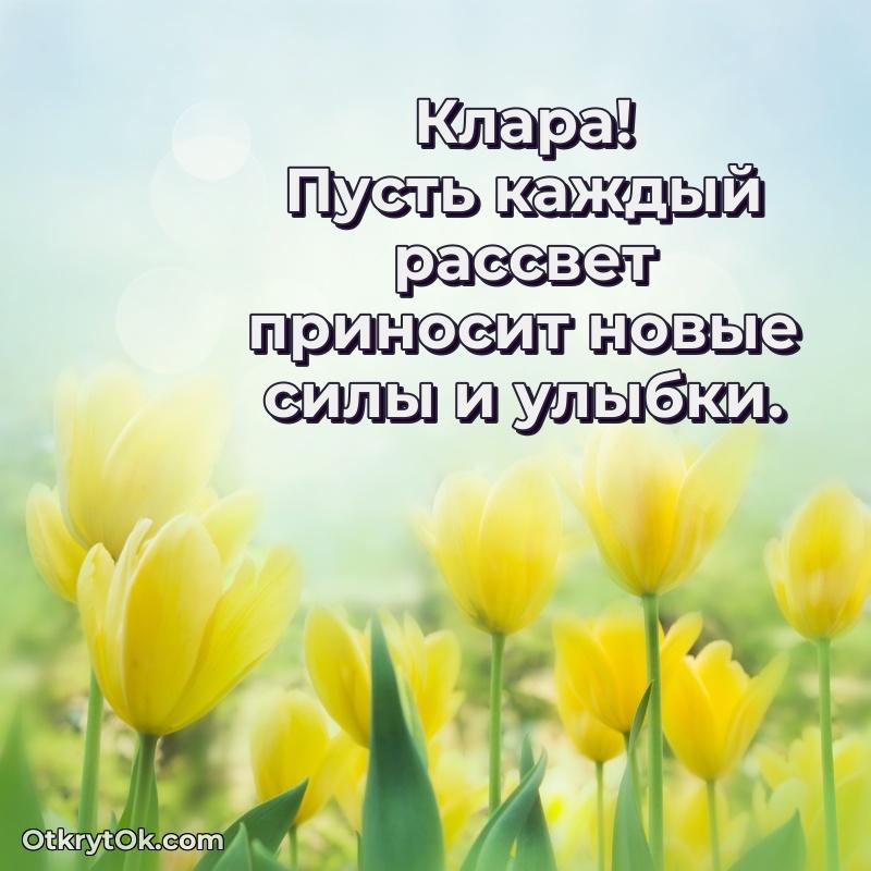 Пожелания маме Кларе — идеи поздравлений