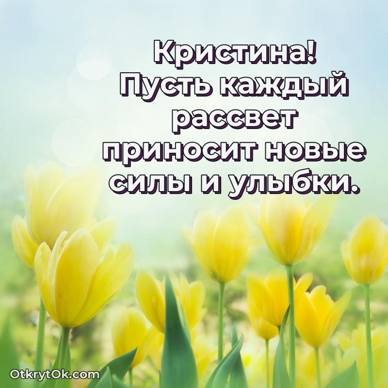 Рисунок и пожелание Кристине 76 лет