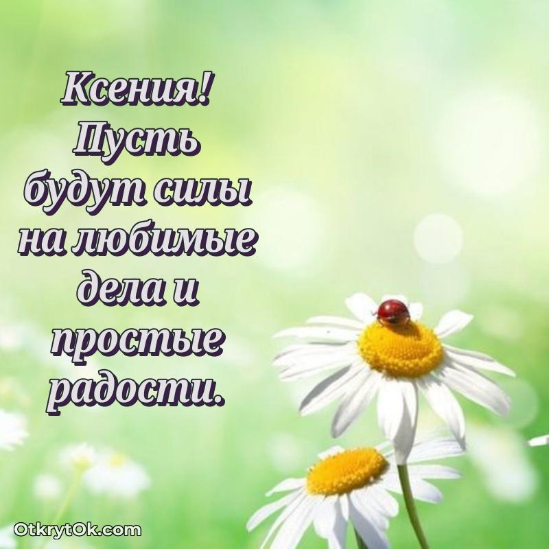 Красочная поздравительная открытка