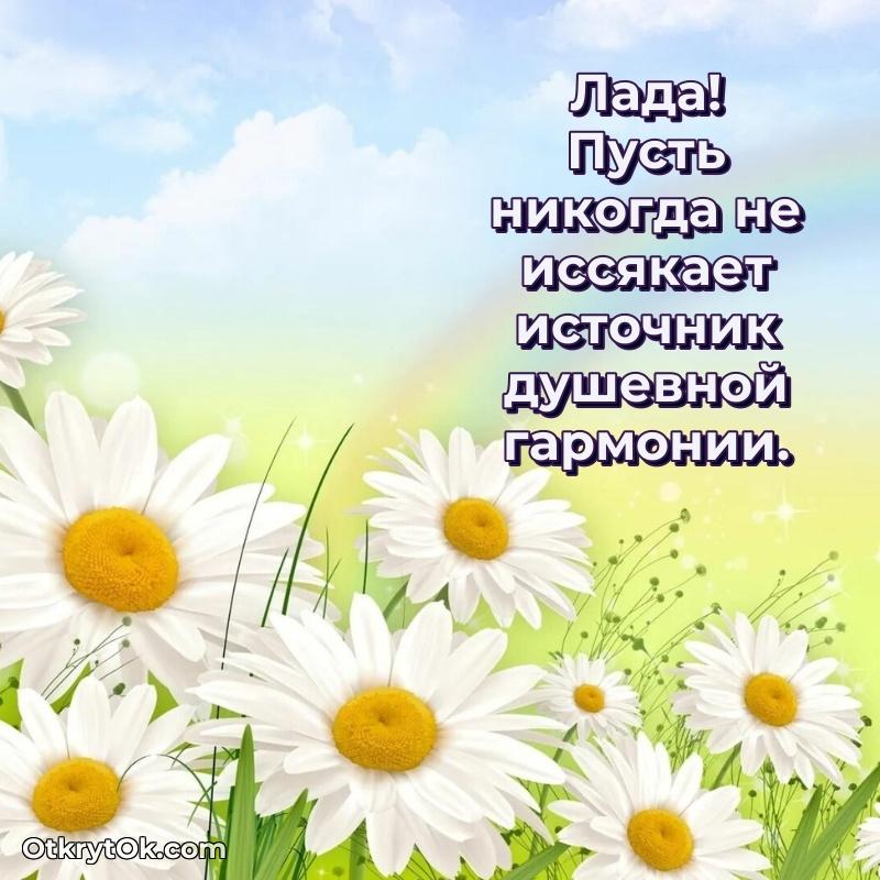 поздравляемому — открытка и пожелание