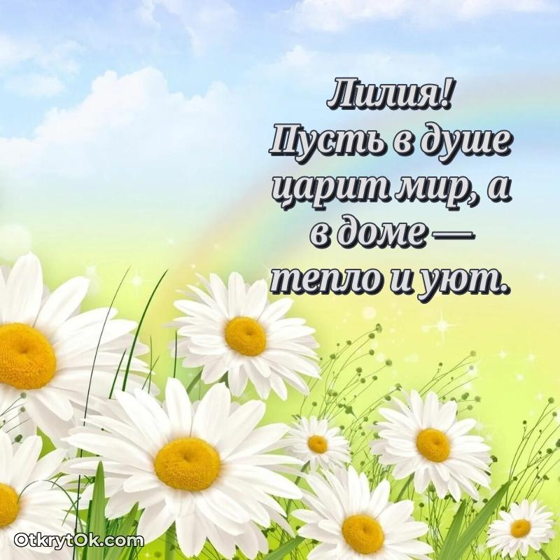 Иллюстрация для поздравления