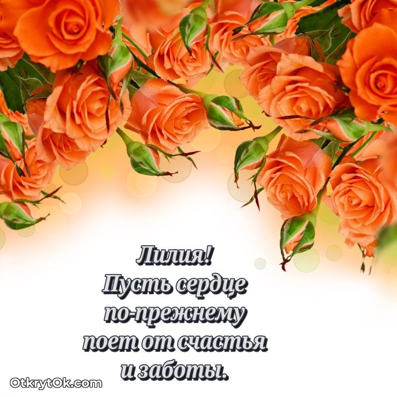 Скачать открытку Лилии 81 год