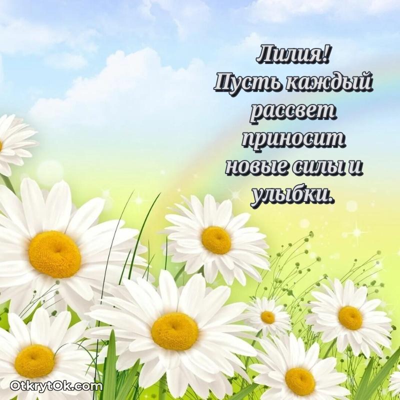 человеку — открытка и пожелание