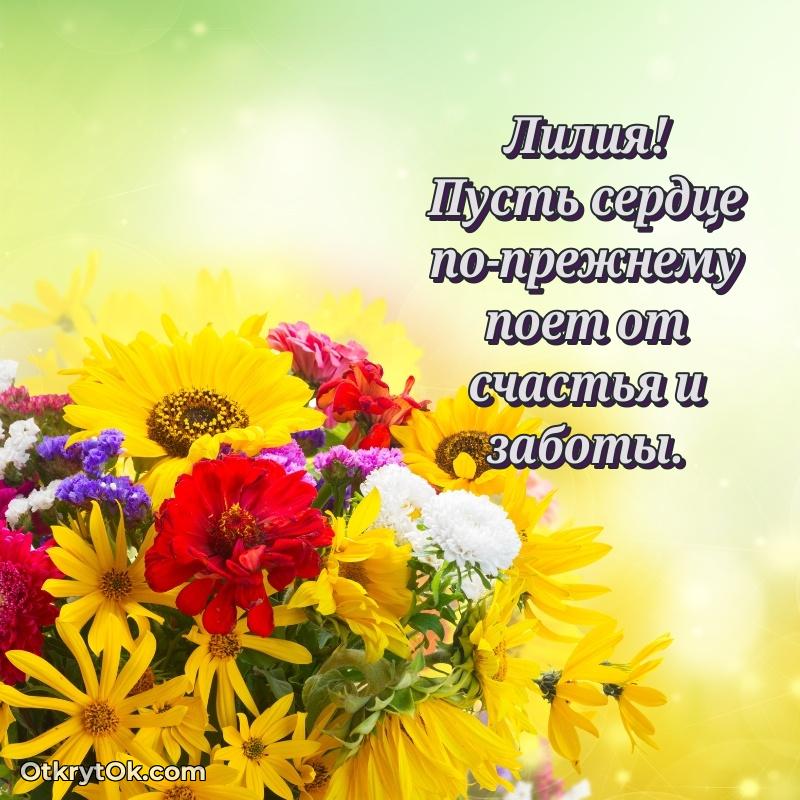 Поздравительная картинка поздравляемому на 81 год