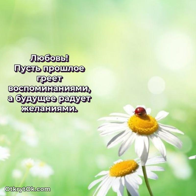 Иллюстрация для поздравления