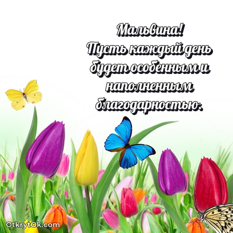 Новые открытки с днем рождения праздничные Мальвине
