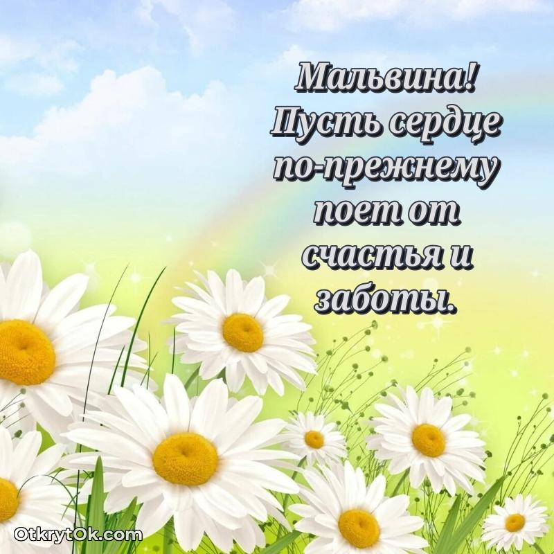 Прикольная гифка Поздравление Мальвине праздничные своими словами в прозе