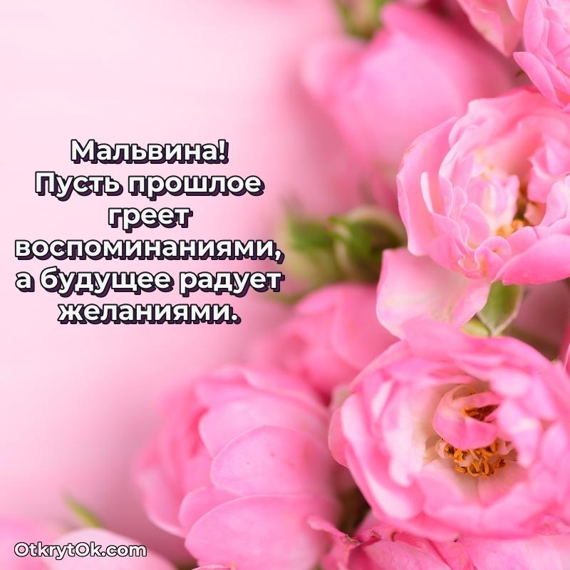 Картинка бабушке Мальвине