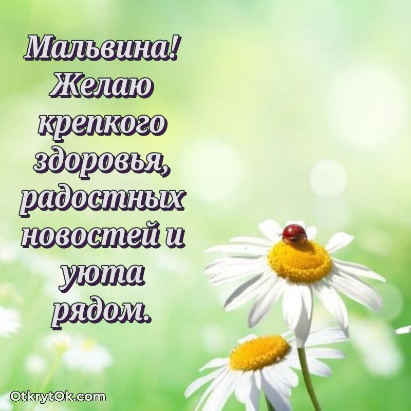 Мини — открытка человеку