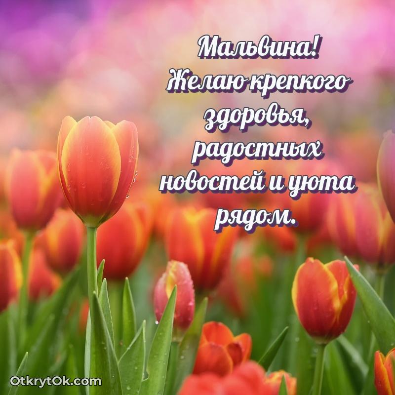 Бесплатная открытка тете — открытка Мальвине