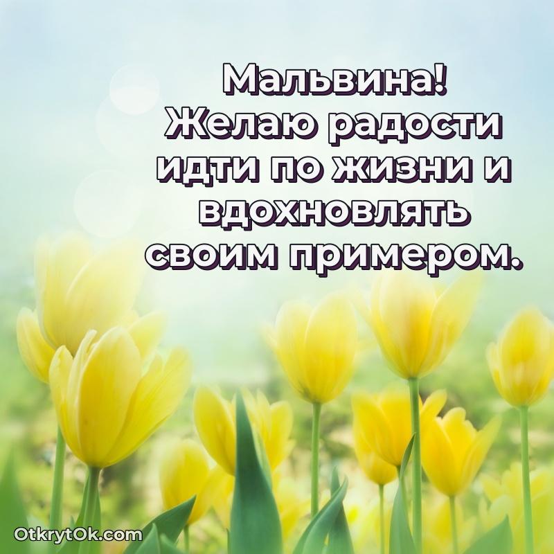 Рисунок и пожелание Мальвине 75 лет