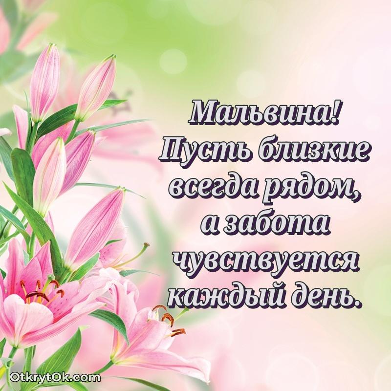Короткое пожелание Мальвине
