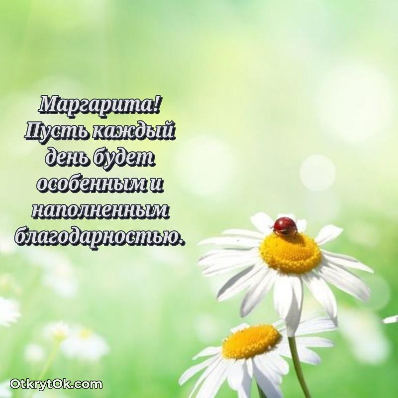 Открытка с пожеланиями Маргарите для ватсапа
