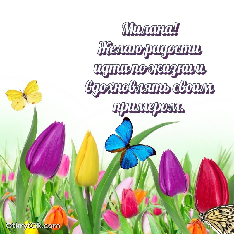 Пожелание Милане открытка на 67 лет