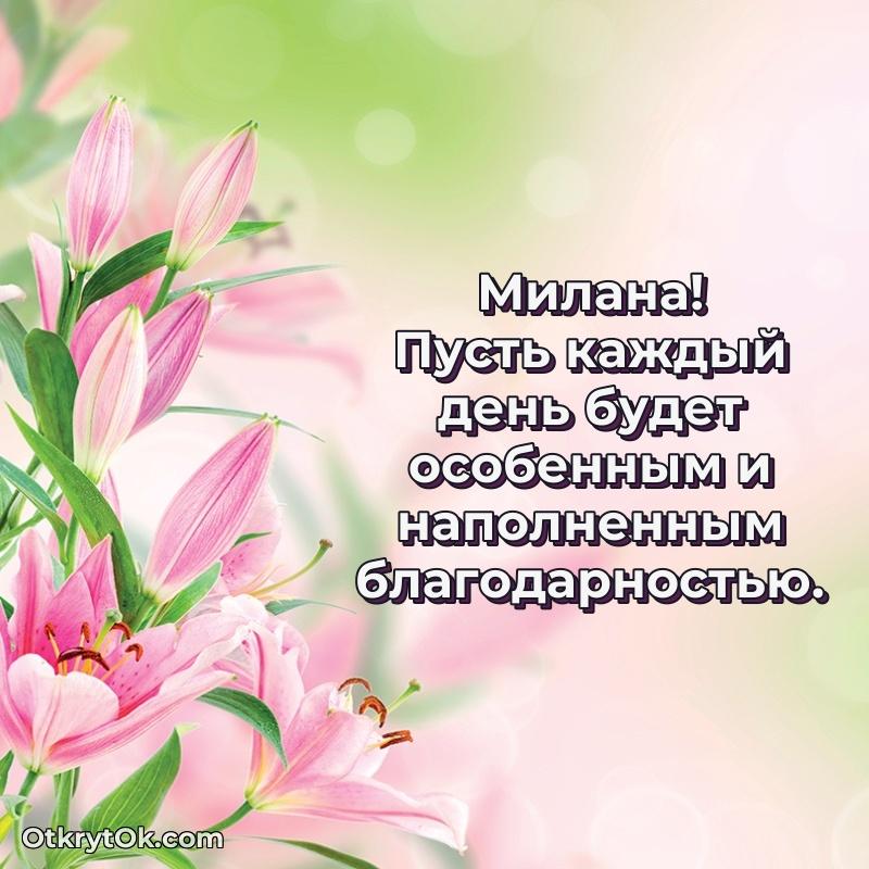 Рисунок и пожелание Милане 67 лет