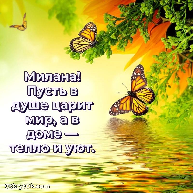 Рисунок и пожелание Милане 67 лет