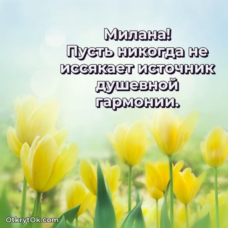 Пожелание Милане открытка на 67 лет