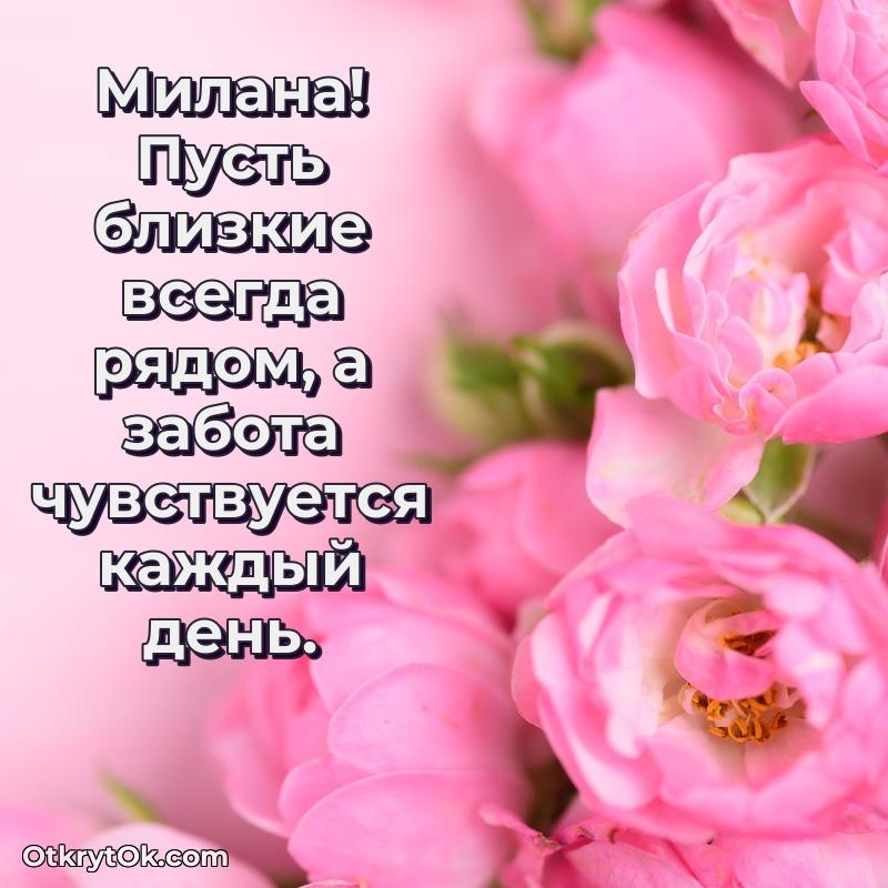 Открытка с пожеланиями Милане для ватсапа поздравление Милане 67 лет