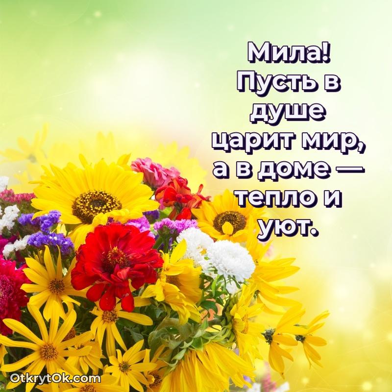 Рисунок и пожелание Миле 72 года