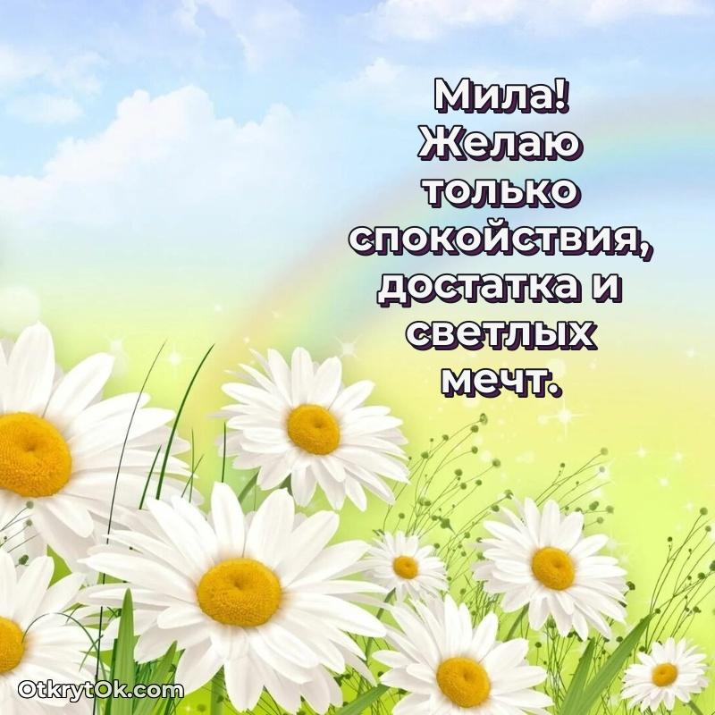 Готовая открытка поздравляемому