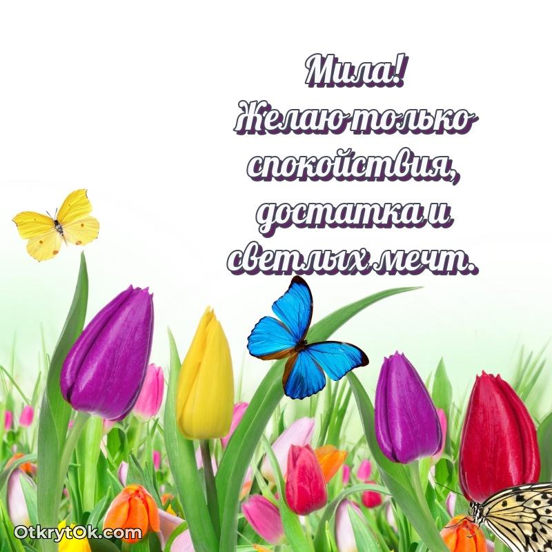 Пожелания и открытки Мила