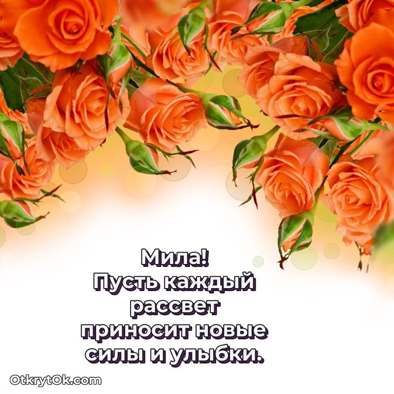 Открытка для ватсап с днем рождения Миле