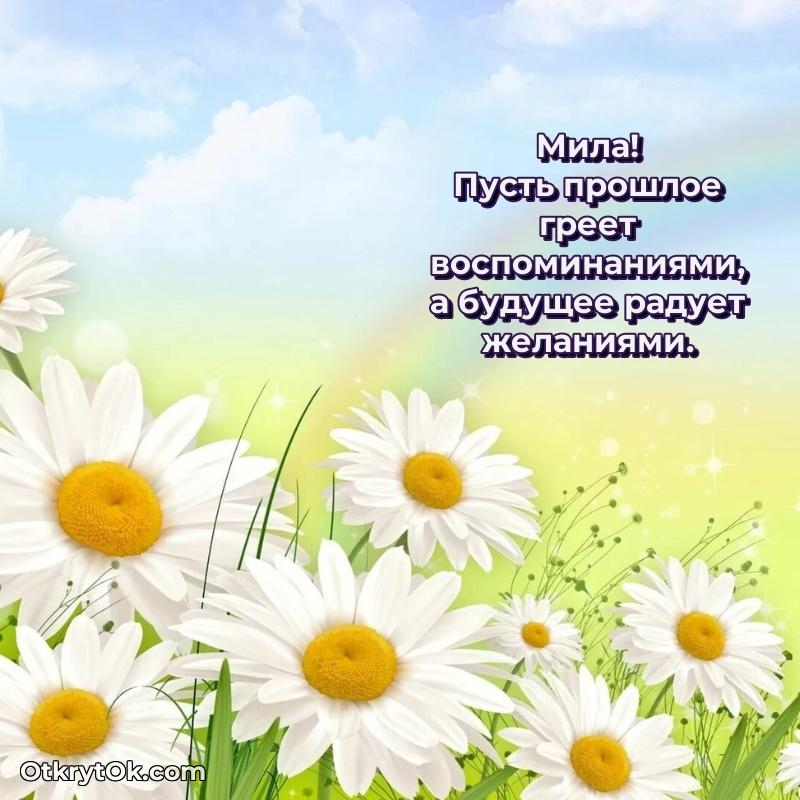 Пожелания маме Миле