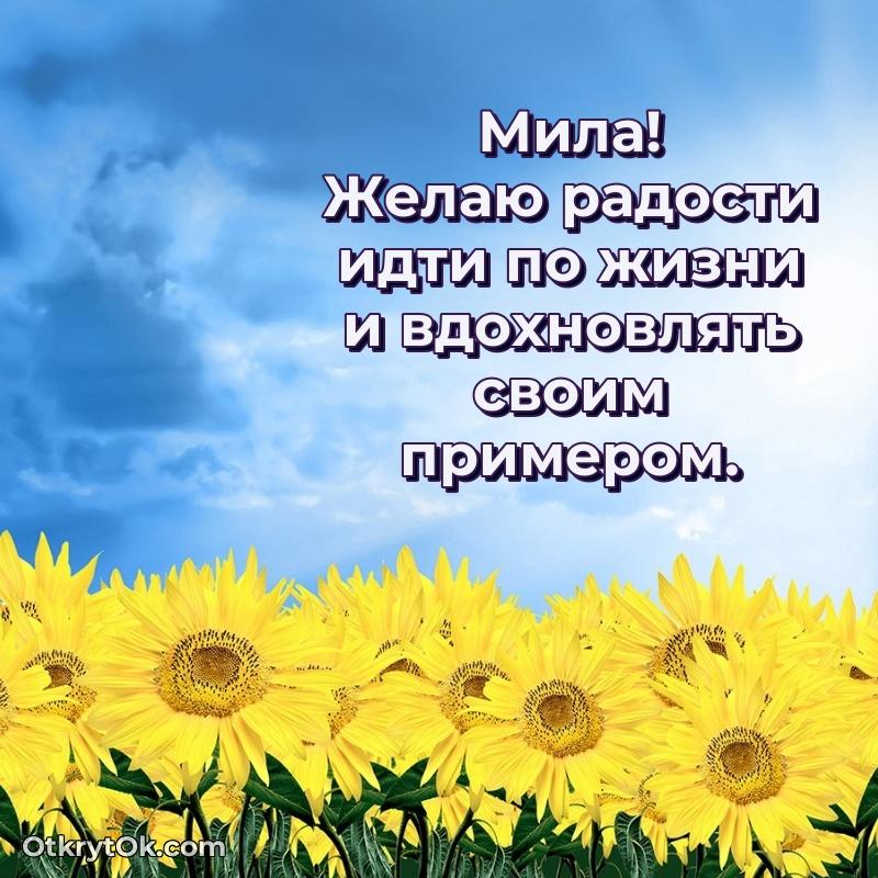 Пожелание Миле открытка на 72 года