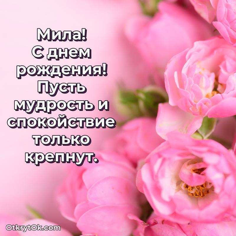 Поздравление женщине Миле текст и картинка