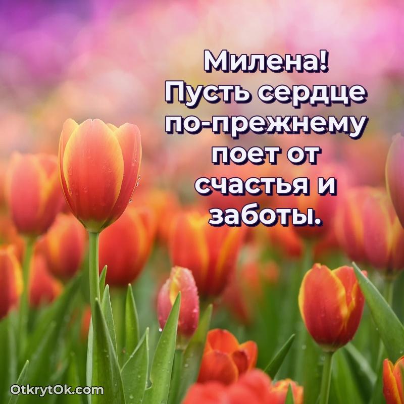 Яркая гифка Милене с днем рождения