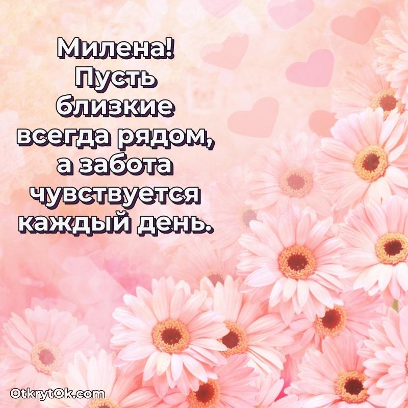 Тёплые слова Милене