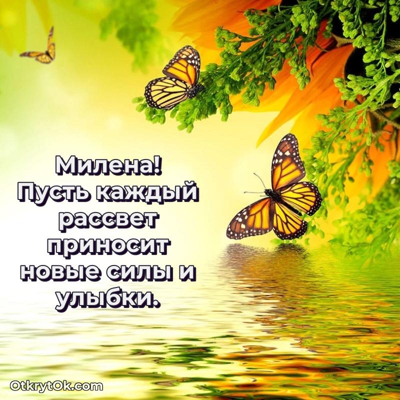 Тёплые слова Милене