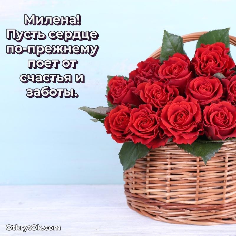 Открытка человеку — Новые открытки с днем рождения праздничные Милене