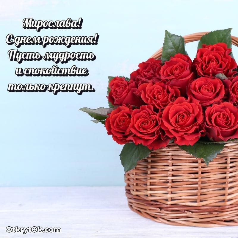 Пожелание Мирославе открытка на 81 год